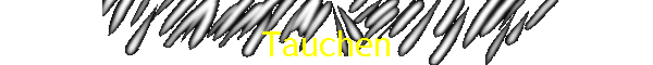 Tauchen